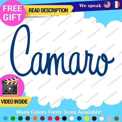 12-22231 Fits Camaro Decals Stickers Vinyl Chevrolet Z28 RS Chevy Corvette LSX SS Script - Image 1