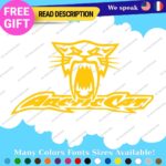 Fits Large Arctic Cat Decals Stickers Vinyl Name Snowmobile Head Sled Ski Team - Image 13