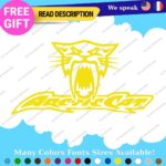 Fits Large Arctic Cat Decals Stickers Vinyl Name Snowmobile Head Sled Ski Team - Image 14