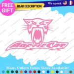 Fits Large Arctic Cat Decals Stickers Vinyl Name Snowmobile Head Sled Ski Team - Image 19