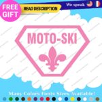 MOTO-SKI Decals Stickers Vinyl Ski moto old snow doo Vintage Antique Snowmobile - Image 10
