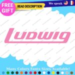 Fits Ludwig Decals Stickers Vinyl Cymbal Bass Drum Percusion Music USA Head Amp - Image 12