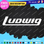 Fits Ludwig Decals Stickers Vinyl Cymbal Bass Drum Percusion Music USA Head Amp
