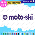 Fits MOTO-SKI Decal Sticker Vinyl Ski moto old snow Vintage Antique Snowmobile 2 - Image 12