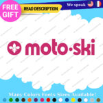 Fits MOTO-SKI Decal Sticker Vinyl Ski moto old snow Vintage Antique Snowmobile 2 - Image 26