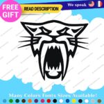 Fits Arctic Cat Head Decals Stickers Vinyl Name Snowmobile Sled Ski Team Moto - Image 15