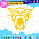 Fits Arctic Cat Head Decals Stickers Vinyl Name Snowmobile Sled Ski Team Moto - Image 26