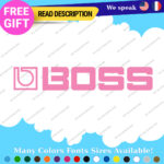 Fits Boss Audio Decals Stickers Stereo Vinyl System Amplifier Speaker Equalizer - Image 11