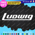 Fits Ludwig Decals Stickers Vinyl Cymbal Bass Drum Percusion Music USA Head Amp - Image 7