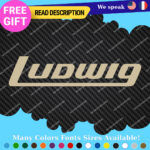 Fits Ludwig Decals Stickers Vinyl Cymbal Bass Drum Percusion Music USA Head Amp - Image 26