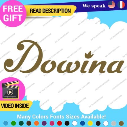 Fits Dowina Guitar Decals Band Stickers Head Bass Replacement Vinyl Die Cut