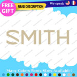 Fit Smith Decals Sticker Vinyl Google Sunglasse Lens Snowboard Ski Helmet Optics - Image 20