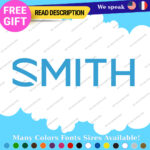 Fit Smith Decals Sticker Vinyl Google Sunglasse Lens Snowboard Ski Helmet Optics - Image 24