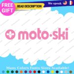 Fits MOTO-SKI Decals Stickers Vinyl Ski Moto Old Snow Vintage Antique Snowmobile - Image 49